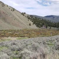 Bear Valley Horse Camp ico