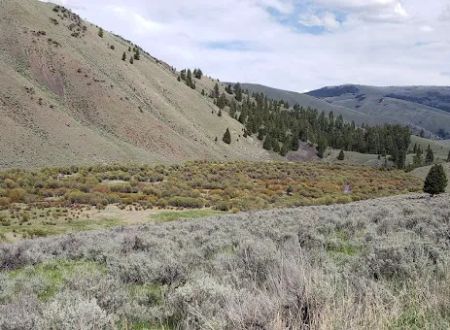 Bear Valley Horse Camp