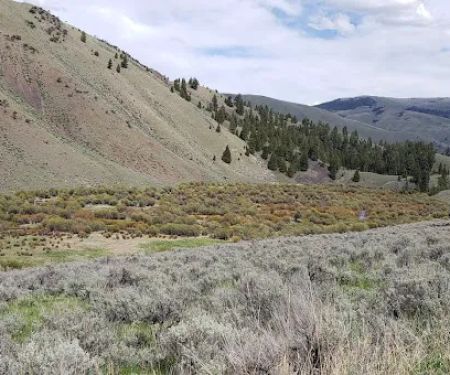 Bear Valley Horse Camp