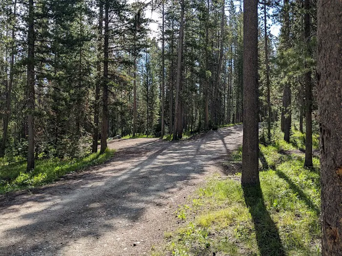 Lola Creek Campground Picture 6