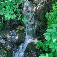 Lola Creek Campground ico
