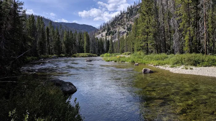 Lola Creek Campground Picture 2