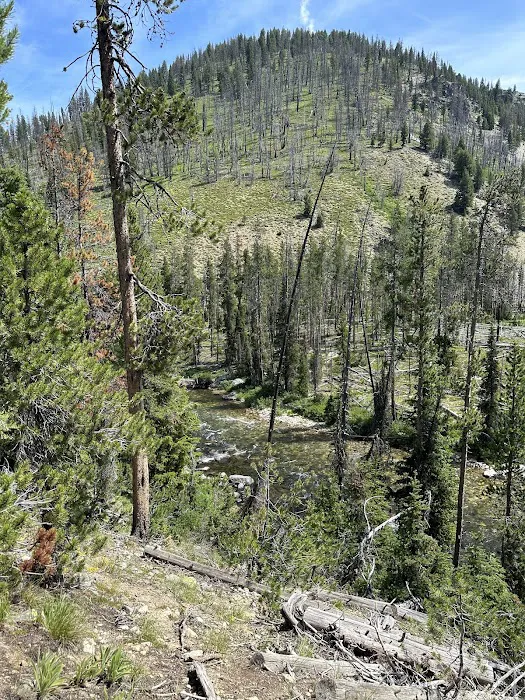 Lola Creek Campground Picture 3