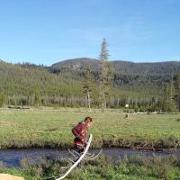 Bench Creek Campground ico