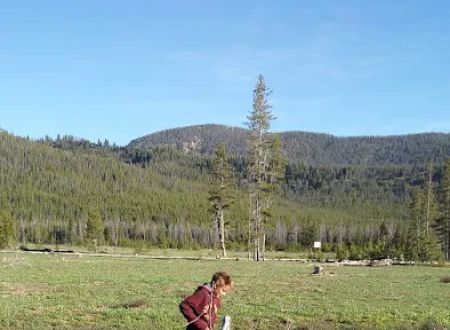 Bench Creek Campground