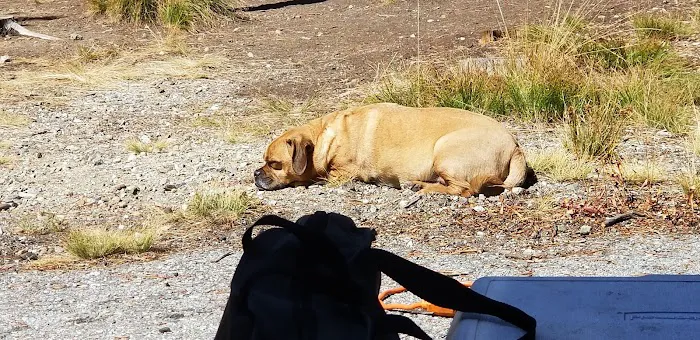 Bench Creek Campground Picture 5