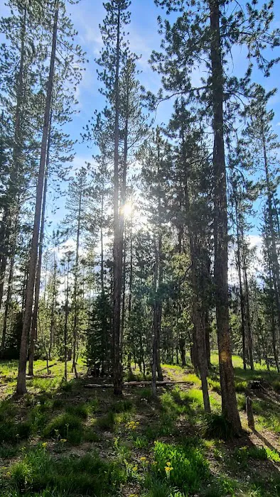 Bench Creek Campground Picture 7