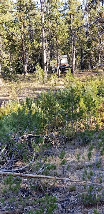 Bench Creek Campground Picture 8