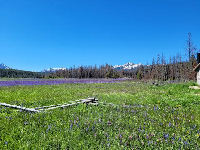 Trap Creek Campground Picture 2