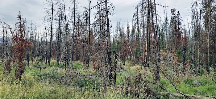 Trap Creek Campground Picture 7