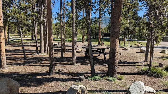 Sheep Trail Campground Picture 9