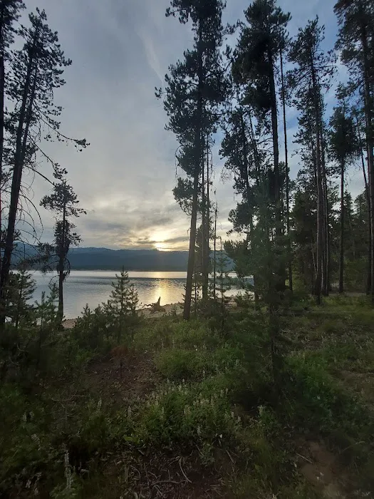 Barney's Campground Picture 6