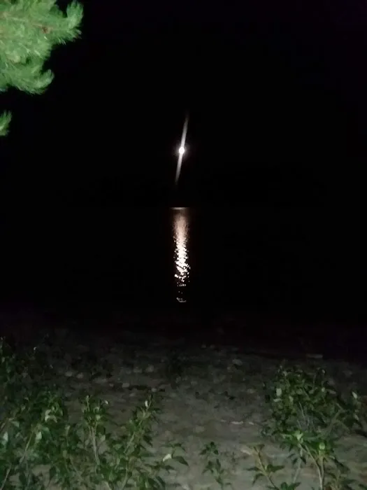 Barney's Campground Picture 3