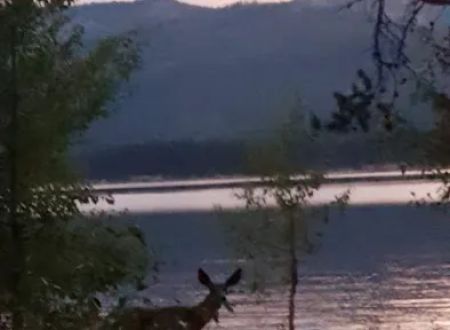 Deadwood Reservoir