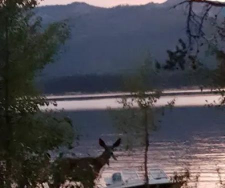 Deadwood Reservoir