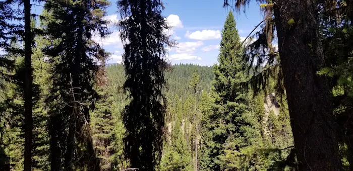Cozy Cove Campground Picture 8