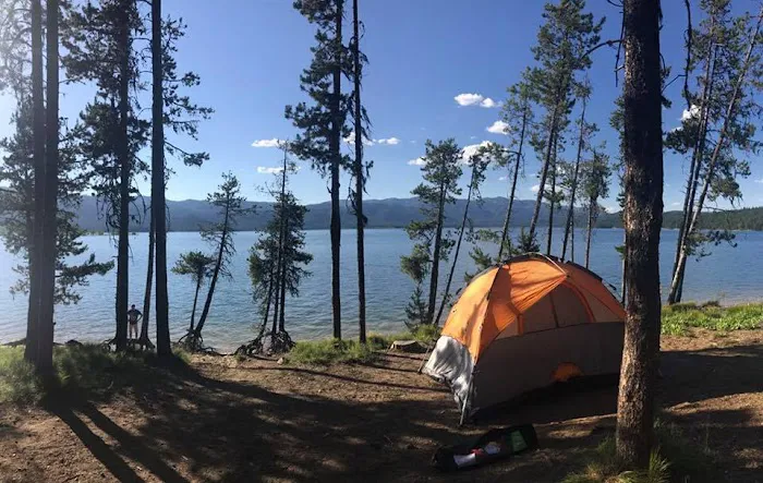 Cozy Cove Campground Picture 4