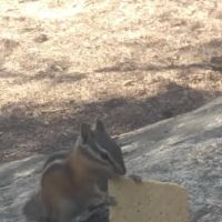 Peace Valley Campground ico