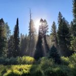 Silver Creek Campground