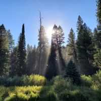 Silver Creek Campground ico