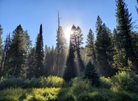 Silver Creek Campground
