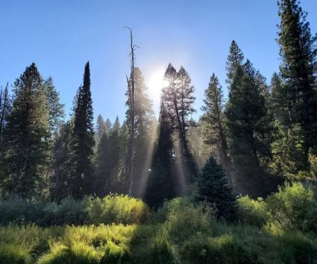 Silver Creek Campground