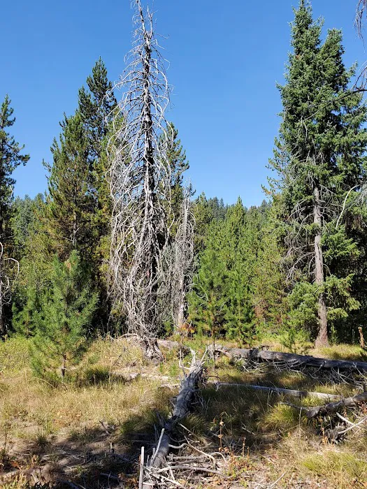 Silver Creek Campground Picture 6