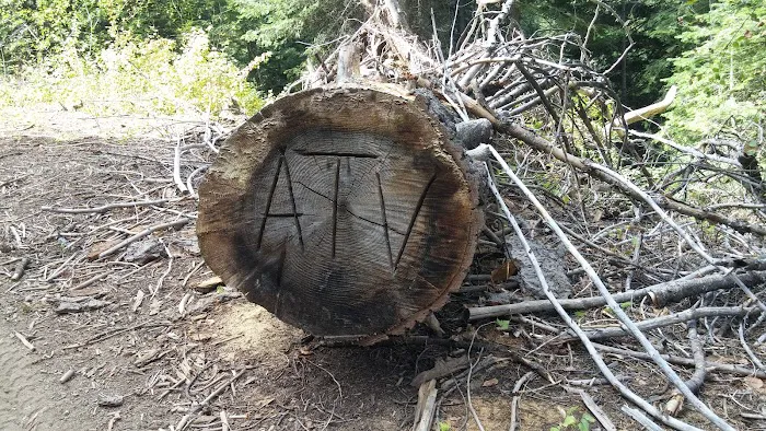 Cartwright Ridge Campground Picture 3