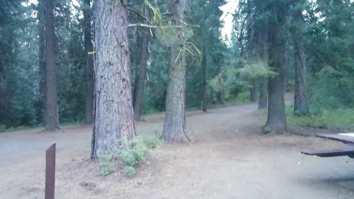 Cartwright Ridge Campground Picture 2