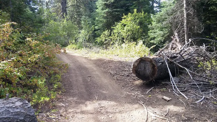 Cartwright Ridge Campground Picture 5