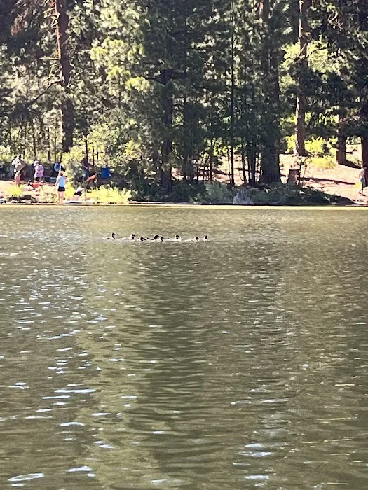 Antelope Campground Picture 3