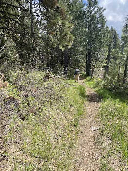 Antelope Campground Picture 9