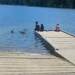 Sage Hen Creek Campground