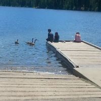 Sage Hen Creek Campground ico