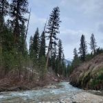 Bonneville Campground