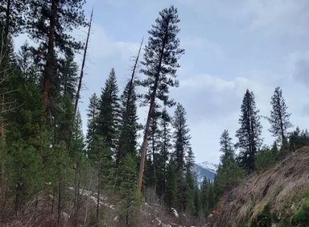 Bonneville Campground