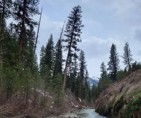 Bonneville Campground