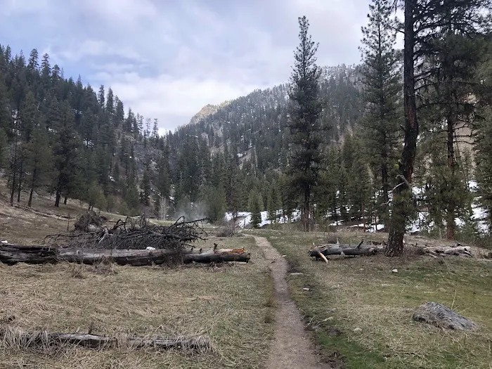 Bonneville Campground Picture 4