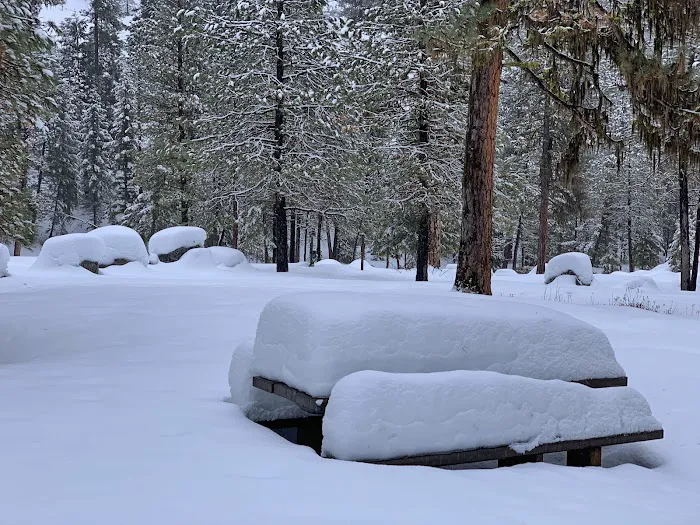 Bonneville Campground Picture 9