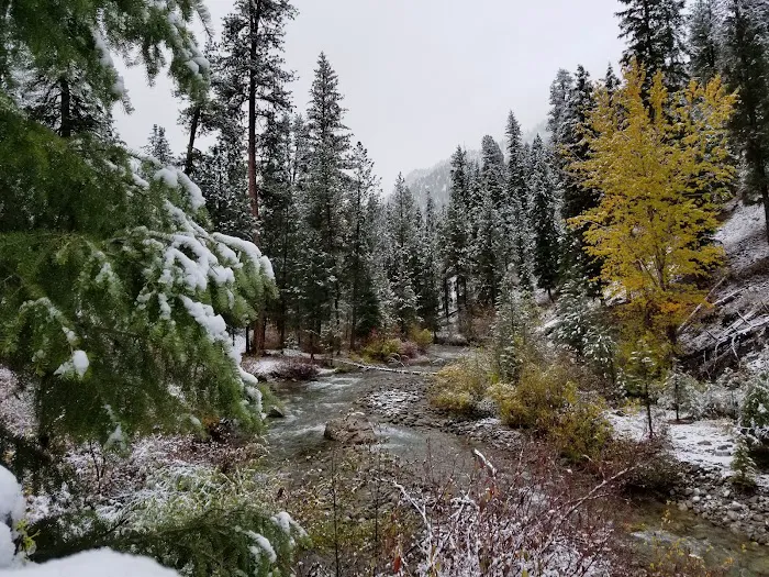 Bonneville Campground Picture 3