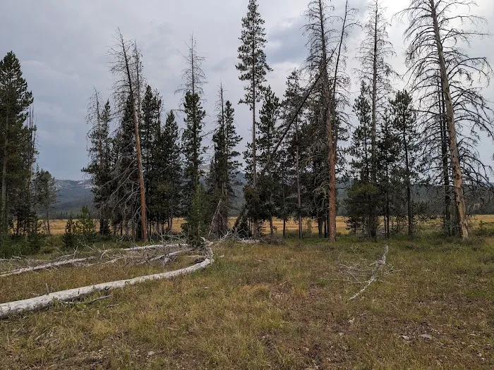 Elk Creek Campground (Sawtooth NF) Picture 4