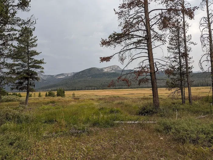 Elk Creek Campground (Sawtooth NF) Picture 3