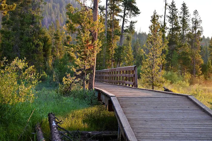 Stanley Lake Campground Picture 6