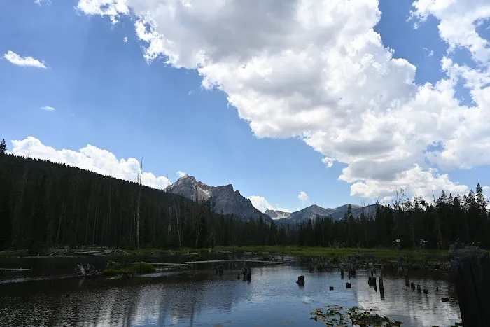 Stanley Lake Campground Picture 1