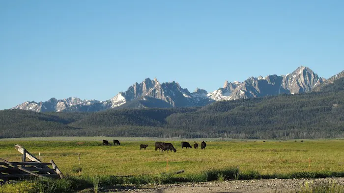 Stanley Lake Campground Picture 10