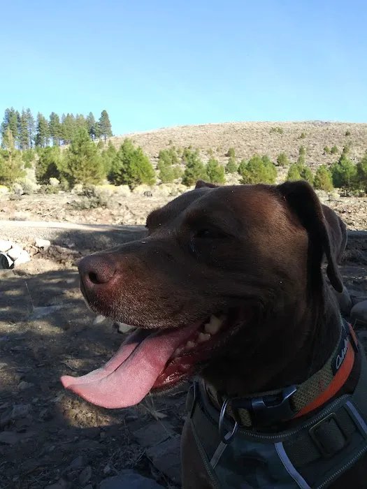 Plum Valley Campground Picture 5