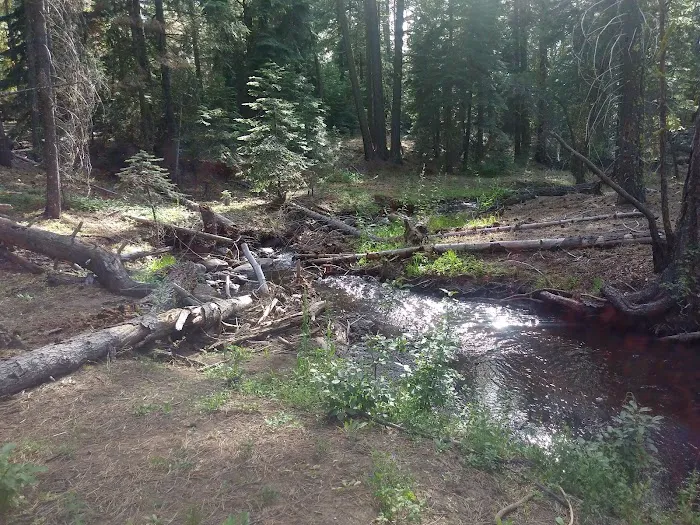 Plum Valley Campground Picture 10