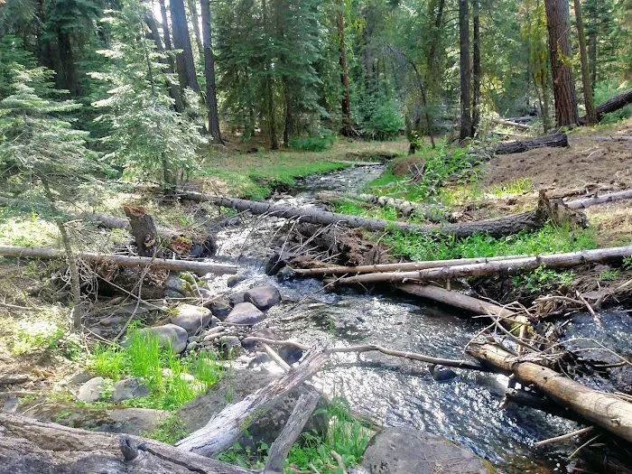 Plum Valley Campground Picture 7