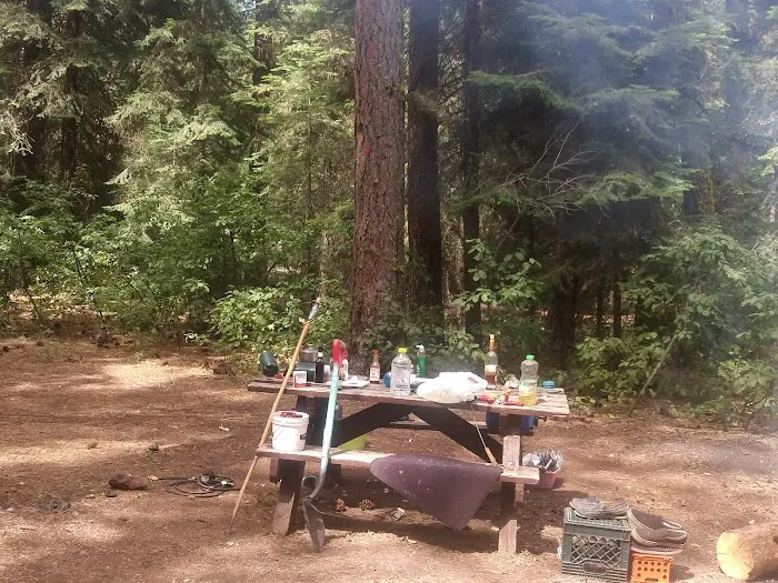 Plum Valley Campground Picture 6