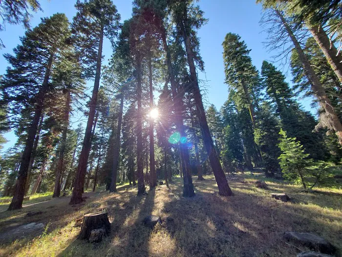 Stough Reservoir Campground Picture 6